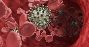 Scientists don't understand the exact causes of leukemia. Difference Between Blood Cancers Leukemia Lymphoma Ctca