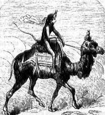 Camel's nose meaning, definition & explanation. Paimon Wikipedia