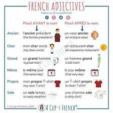 Pin By Liza Platfoot On English French Adjectives French Grammar French Flashcards