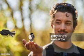 61,430 Guy Bird Stock Photos, High-Res Pictures, and Images