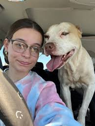 Is this dog yours in hope and valley area?