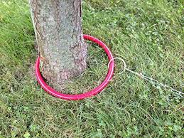 This tie out is 50 feet long and made to withstand the weight of massive canines that weigh up to 250 pounds! Amazon Com The Hoop Dog Tie Out Runner The Hoop Pet Supplies Dog Tie Dog Camping Dog Backyard