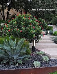 Elegant Contemporary Westlake Garden By Sitio Design Digging Backyard Garden Landscape Texas Native Landscaping Small Backyard Gardens