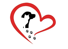 It gets its name from the natural shape on the coastline. S A F E Pet Rescue Inc S A F E Is Saving Animals From Euthanasia