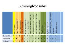 spectrum of commonly used antibiotics