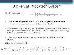 56 Genuine Childrens Dental Chart