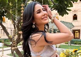 Katrina Kaif showed hot look wearing gray saree, eyes fixed on short  blouse, watch video - informalnewz