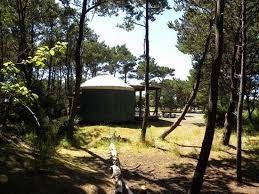 Maybe you would like to learn more about one of these? Sunset Picture Of Grayland Beach State Park Tripadvisor