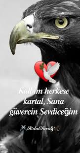 Kader Adli Kullanicinin Ask I Kordugum Panosundaki Pin Guzel Soz Duygular Sevgi Sozleri