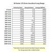 introducing 28 nosler