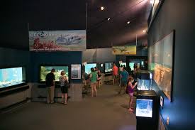 A magnificent, state of the art teaching aquarium and the educational building can be found this facility. Explore New Exhibits And Celebrate Spring At Uga Aquarium Event