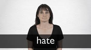 Hate Definition And Meaning Collins English Dictionary