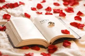 Des vidéos animées et des ressources gratuites pour aider les personnes à comprendre que la bible est une seule et même histoire menant à jésus. Anneaux Sur La Bible Les Bagues De Mariage Sur La Bible Du Nouveau Testament Entoure De Petales De Roses Banque D Images Et Photos Libres De Droits Image 7190184