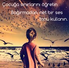 Cocuk Egitimi Egitim Ebeveyn Olmak Ebeveynlik