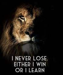 36c15c43ec0c2b5e77c6fd6f218c6891 Aslan Quotes Lioness Quotes Jpg 586 699 Lion Quotes Aslan Quotes Life Quotes