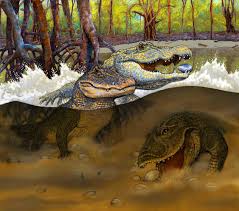 Three New Prehistoric Caiman Species Found In Peruvian Amazonia Giant Animals Prehistoric Prehistoric Creatures