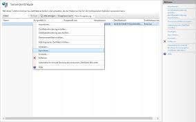 Das pdf format sorgt für eine optimale und immer gleiche. Pfx Datei Erstellen