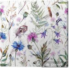 Leinwandbild Hand Gezeichnet Aquarell Wildblumen Pixers Wir Leben Um Zu Verandern Blumen Skizzen Blumenhintergrund Blumen Aquarell