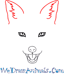 Up next, begin sketching the. How To Draw A Fox Face