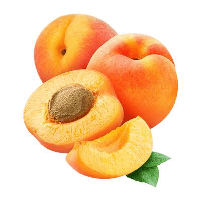 نهال زردآلو پرتقالی