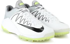 Nike Domain 2 Ns Cricket Shoes For Men White Green Buy Online In Luxembourg At Luxembourg Desertcart Com Productid 141414378
