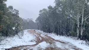 Snow reports for thursday 29th july 2021, with snow and weather forecasts, for ski resorts near canberra (cbr). Abc Canberra Snow Falls Outside Canberra Facebook