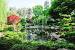 Japanese Garden Campus Cal State Long Beach