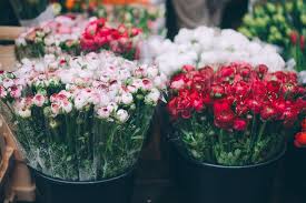 Perfect for weddings · for all occasions · for all occasions Mid Valley Gardens Ltd
