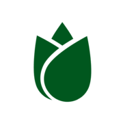 Attrape Mouches 1x Hauteur De Livraison 10 15 Cm Pot De O 8 5 Cm Carnivorous Plants Easy Care Plants Plants