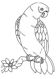 Pdf coloring page color the stress away with this piece, you could use pencils, pens, fineliners, whatercolours. Macaw Coloring Pages Books 100 Free And Printable