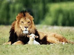 Image result for images â€œI Am the Lion and the Lamb