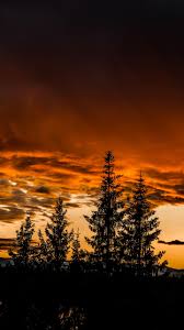 Sunset, sky hd wallpaper posted in landscape & nature wallpapers category and wallpaper original resolution is 3840x2400 px. Trees Sunset Sky Wallpaper 1440x2560