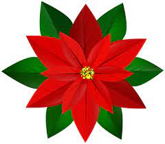 Christmas Red Poinsettia Png Clip Art Image Poinsettia Flower Poinsettia Clip Art