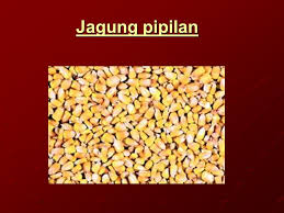 Jun 18, 2021 · liputan6.com, jakarta bahan yang dibutuhkan cara membuat bubur tergantung jenis bubur apa yang ingin dibuat. Teknologi Pengolahan Jagung Ppt Download