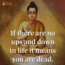 Ups downs quotations to activate your inner potential: Pin On Buddha
