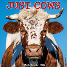 Cows Cows Cows Calendar 2022 Buy Art Work By Lowell Herrero Kalenderwinkel Nl