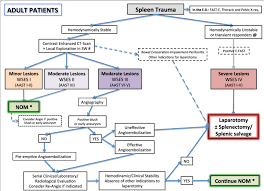 Management of blunt splenic injury. Spleen Trauma Management Algorithm For Adult Patients Sw Stab Wound Download Scientific Diagram