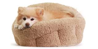 10 best dog beds of 2021, according to pet experts. Best Friends By Sheri Dog Beds