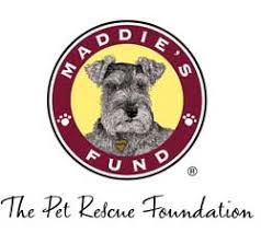Hours may change under current circumstances Greater Dayton Labrador Retriever Rescue Labrador Retriever Dogs