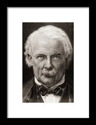 Untitled #277 Framed Print