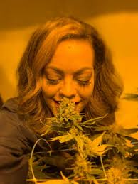 Meet Parisa Mansouri-Rad