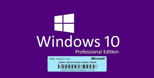 21h1 may 2021 update now is available. Windows 10 Pro Free Download Downloadbytes Com