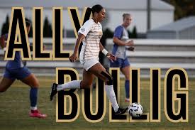 Image result for Deverra burchellii