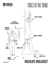 So, try our free coloring page creator and receive positive emotions and pleasure! I Am A Wildlife Biologist Coloring Page