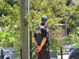 Sullivan County~ New York Nys Court Officer Standing Watch… | Flickr