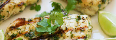 We did not find results for: Grilled Halibut With Cilantro And Lime Bonjour Cuisine