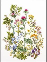 Go cross stitch crazy with our huge selection of free cross stitch patterns! Thea Gouverneur Wild Flowers Cross Stitch Kit Complete Kit Includes 36 Ct White Linen Fabric Threads Ne Cross Stitch Cross Stitch Flowers Cross Stitch Kits
