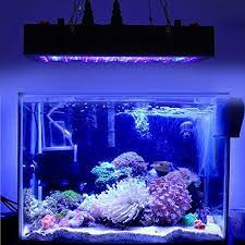 Global Star 60x5w Reef Aquarium Led Lights Dimmable 300w Led Aquarium Lighting Full Spectrum With Crysta Led Aquarium Lighting Aquarium Lighting Aquarium Lamp