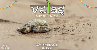 The Hiking Calendar Trikon 1495 Velas Turtle Festival Tour Ex Pune Turtle Tours Ratnagiri
