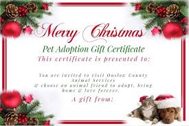 Finalize the adoption process either at a petsmart near you or at your local shelter. Online Originals Animal Adoption Certificates Being Used To Combat Shelter Returns After The Holiday Wnct